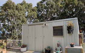The Buddha Shed